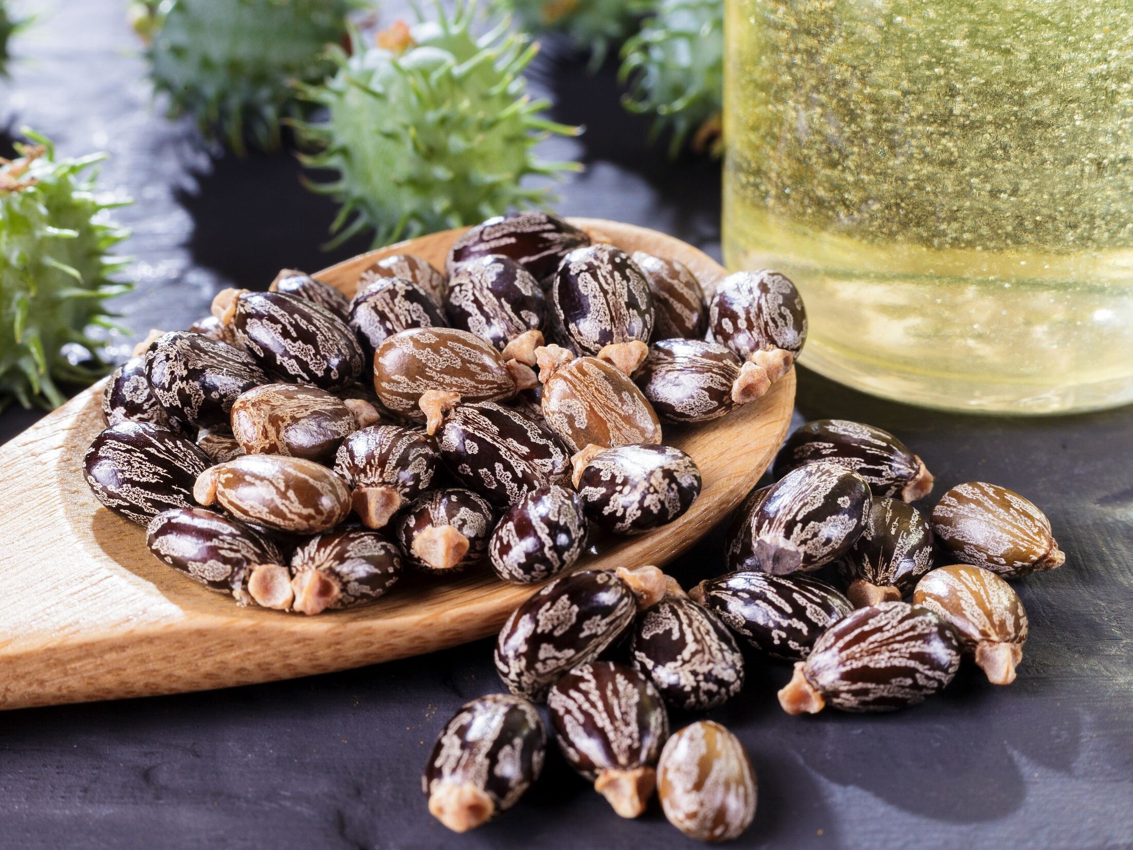 Bio-Based Polyamide Market Insight | Outlook | Growth Analysis Report 2030
