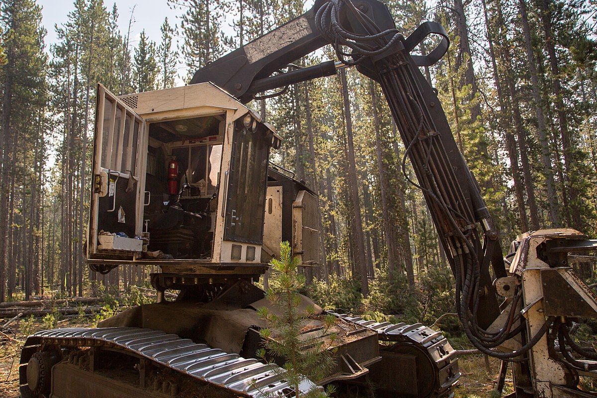 Feller Buncher Market Key Players, Share, Dynamics & Forecast Report to 2030