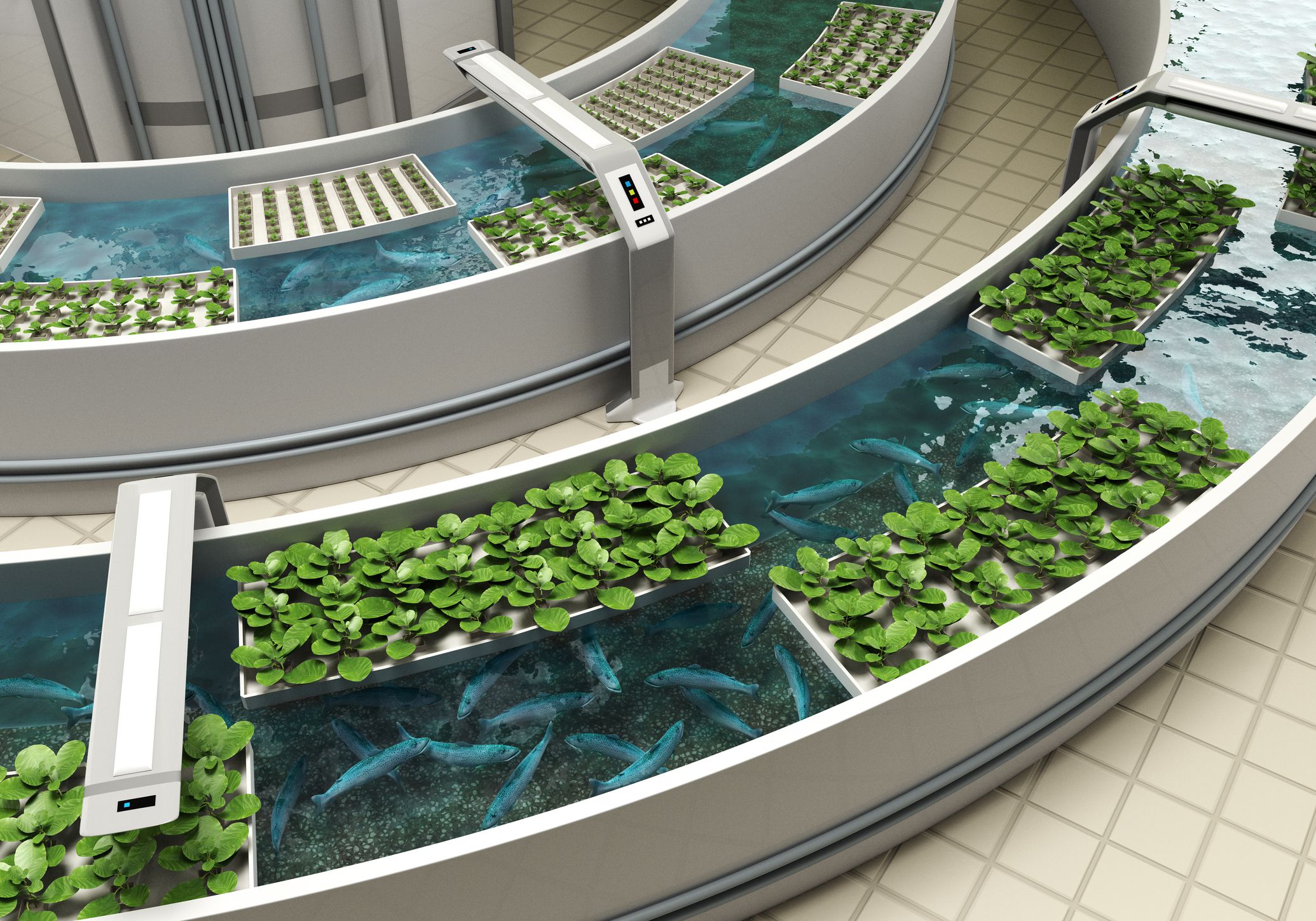 Aquaponics Market Share, Revenue and Growth Analysis Report Till 2028 | Value Market Research