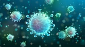 Cell Signaling Market Growth Rate Analysis Report 2022-2028