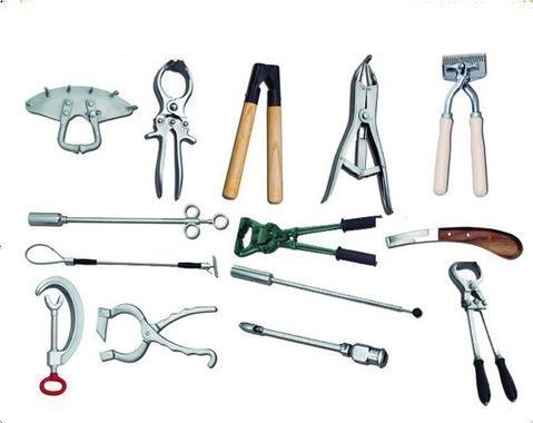 Veterinary Surgical Instruments Market 2022 Size, Growth & Forecast Report to 2028