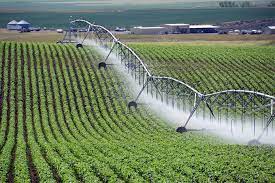 Center Pivot Irrigation System Market 2022 Size, Share & Forecast Report to 2028