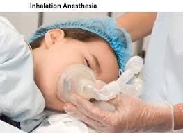 Inhalation Anesthesia Market 2022 Size, Growth Factors & Forecast Report to 2028