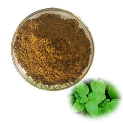 Lemon Balm Extract Market Growth Rate Analysis Report 2022-2028