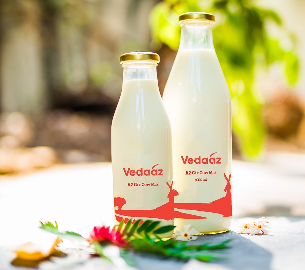 Cow Milk – The Right Choice for Your Growth
