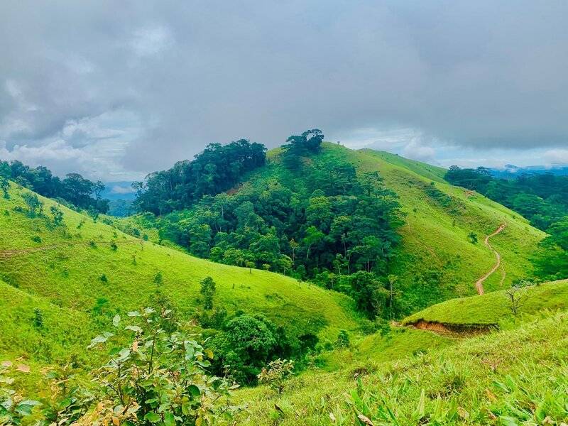 Những trải nghiệm thú vị khi đến Tà Năng Phan Dũng