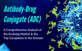 Antibody Drug Conjugates Market: The Future of Novel Therapies