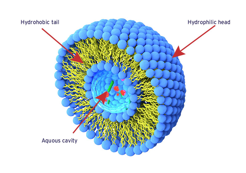 Liposome Development and Manufacturing Services Market 2022–2035