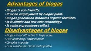 Advantages And Disadvantages Of Biogas