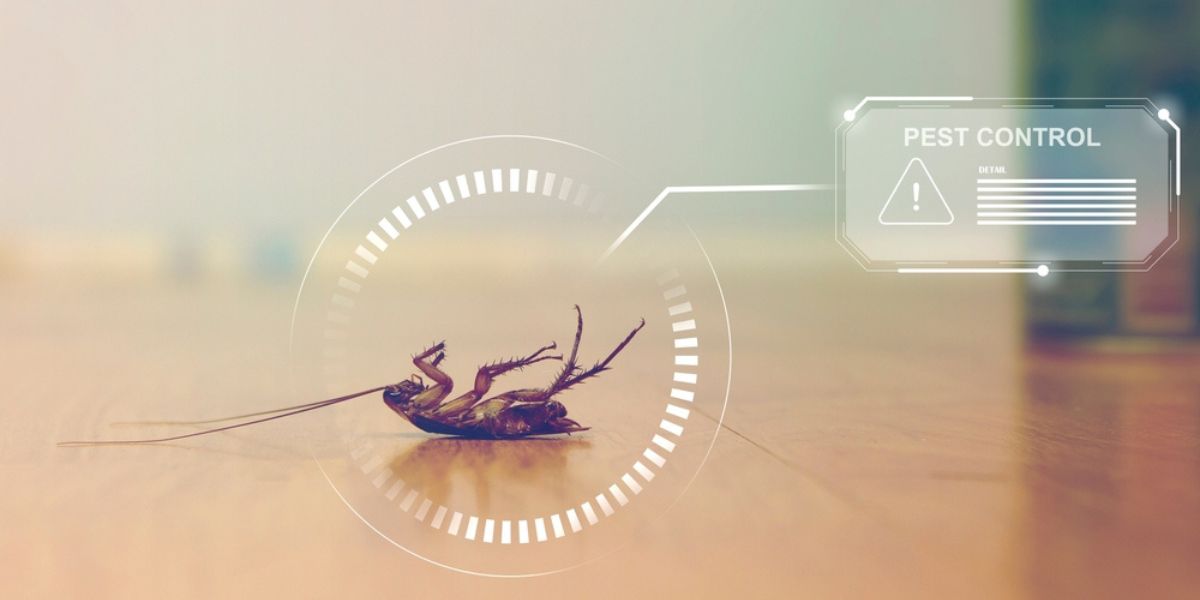 Modern Pest Control Company Delivering Smarter Solutions