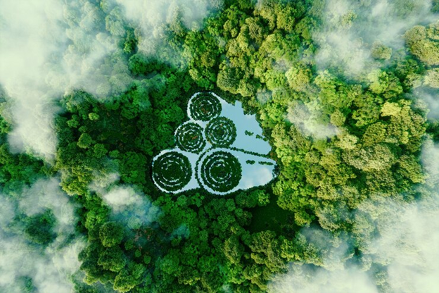 Sustainability and Green Initiatives in the Indian 3PL Industry