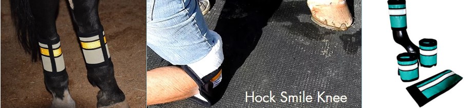 Benefits of the Best Tail Bags for Horses  