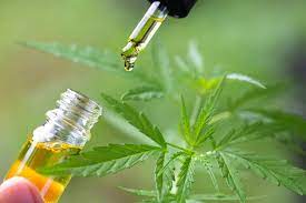 Why You Should Visit a Cannabis Clinic in Australia