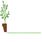  Huge selection indoor plants, outdoor plants, floral, gift and more