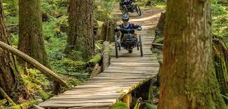 What to Know Before Renting a Mountain Bike: A Beginner’s Guide