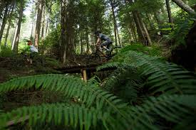 Explore the Best Mountain Bike Trails in Squamish: A Rider’s Paradise