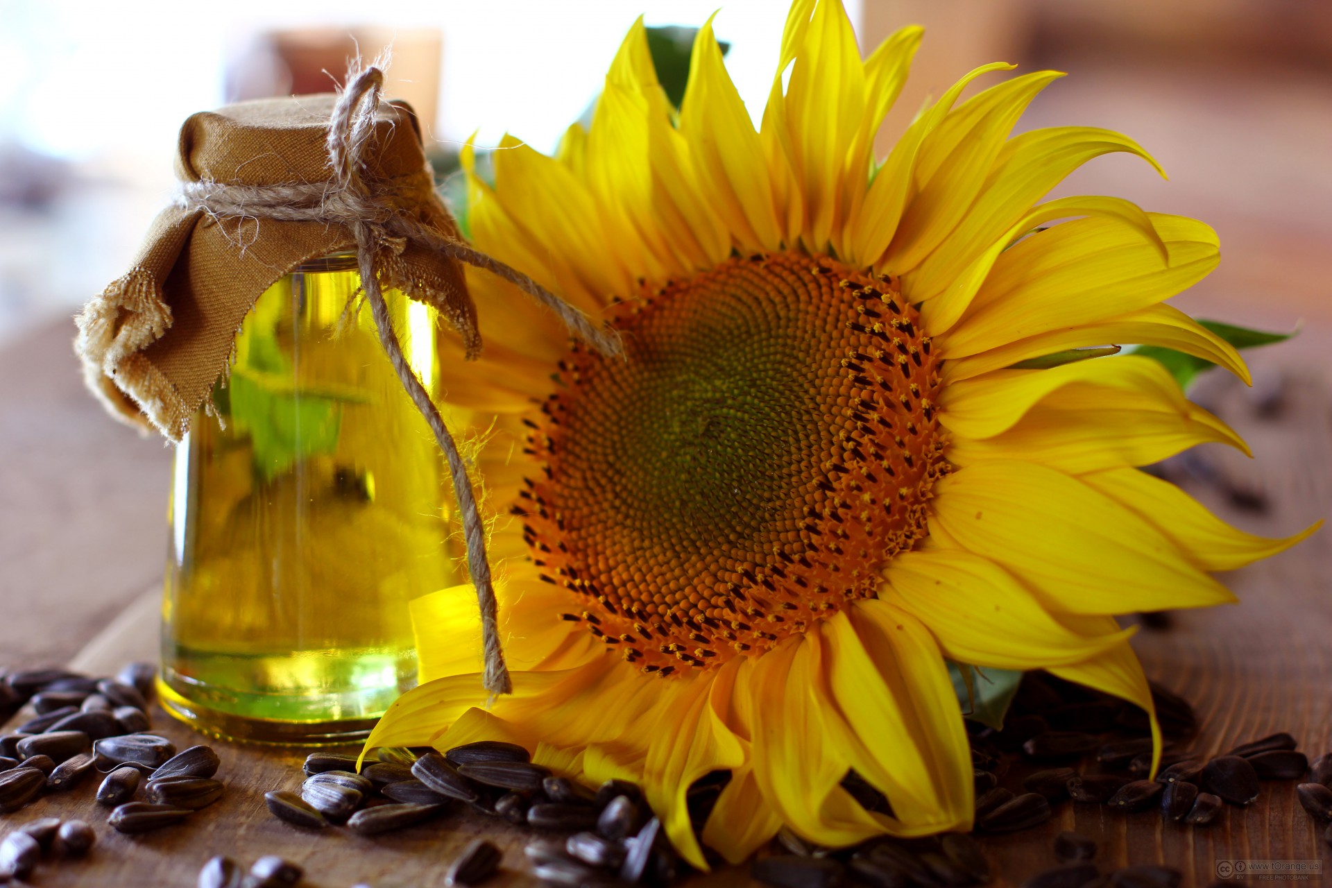 Global Sunflower Seed Oil Market Trends, Research and Analysis 2022-2028