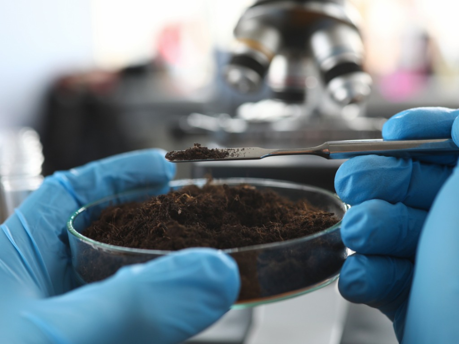 Global Soil Treatment Market Size, Share, Growth, Trends, and Forecast, 2022-2025