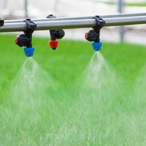 Global Foliar Spray Exchangers Market Size, Share, Growth, Trends, and Forecast, 2022-2025