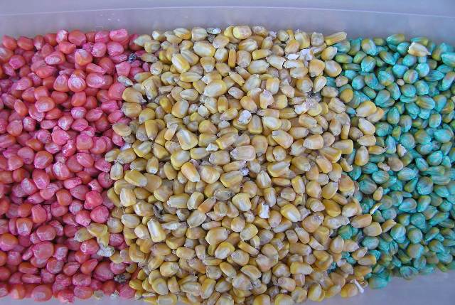 Global Insecticide Seed Treatment System Market Growth Trends and Competitive Analysis 2022-2025