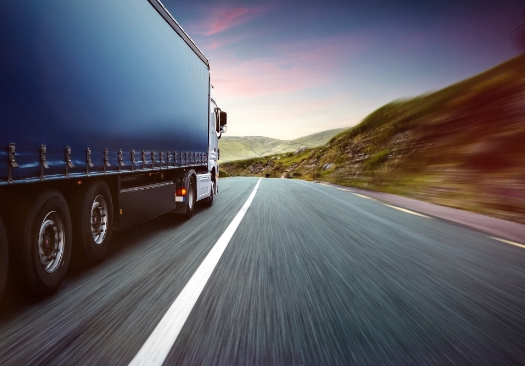 Sheep Oversized Cargo Road Transportation Market Global Analysis by Share, Trend 2022-2025