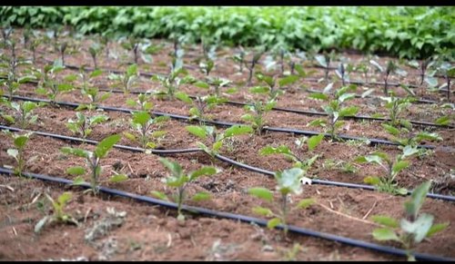 Global Drip Irrigation Market Size, Share, Growth 2022-2025