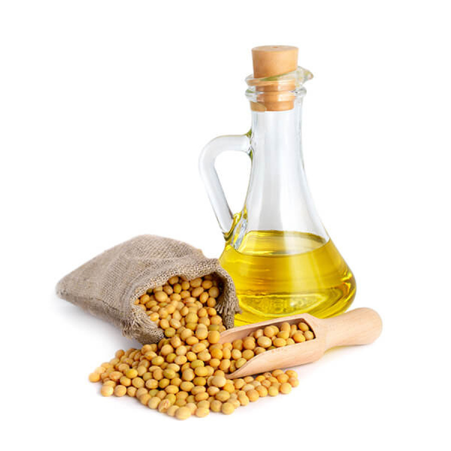 High Oleic Soybean Market Report 2022-2028, Industry Share, Size, Price Trends, Segmentation, and Forecast