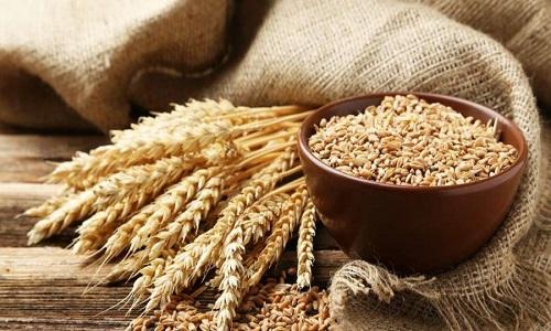 Hydrolysed Flour Market 2022-2028, Industry Share, Growth Status, Competitive Analysis, and Report