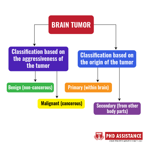 Prediction of glioblastoma survival using techniques based on pre-operative brain MRI imaging PhD research directions for 2022