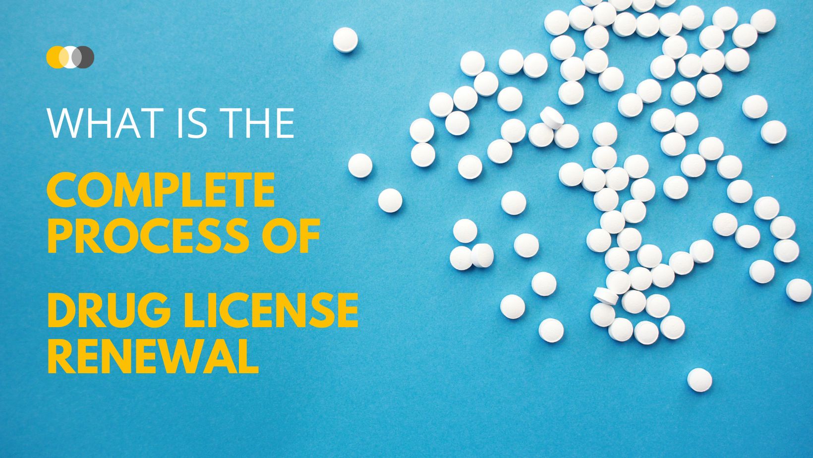 What Is The Complete Process Of Drug License Renewal