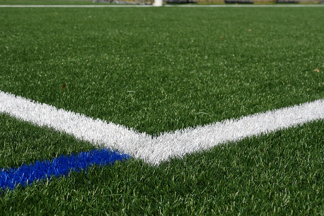 Artificial Turf Market Projected Growth Rate Through 2023-2032