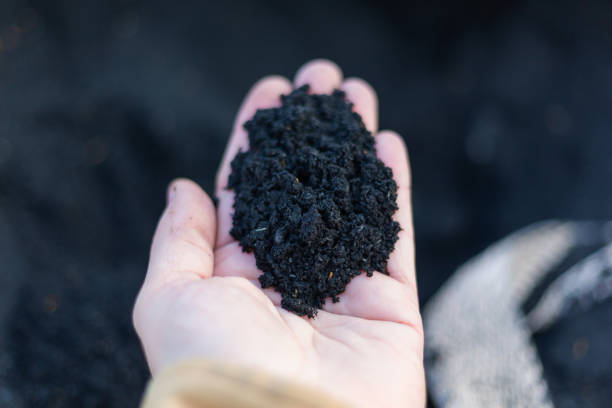 Global Soil Amendments Market Outlook Through 2023-2032