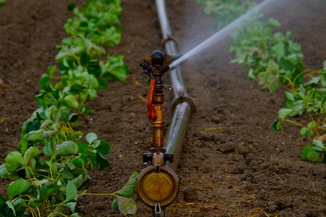 Sprinkler Irrigation  Market Growth Trajectory Through 2024-2033