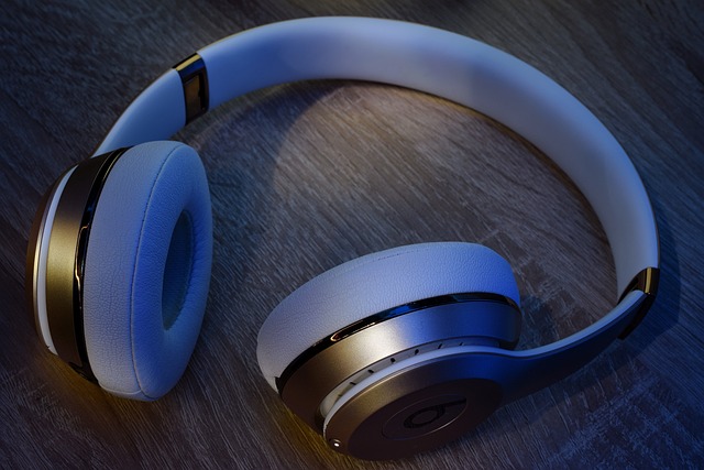 Wireless Earphones Market Projected Growth Rate Through 2023-2032