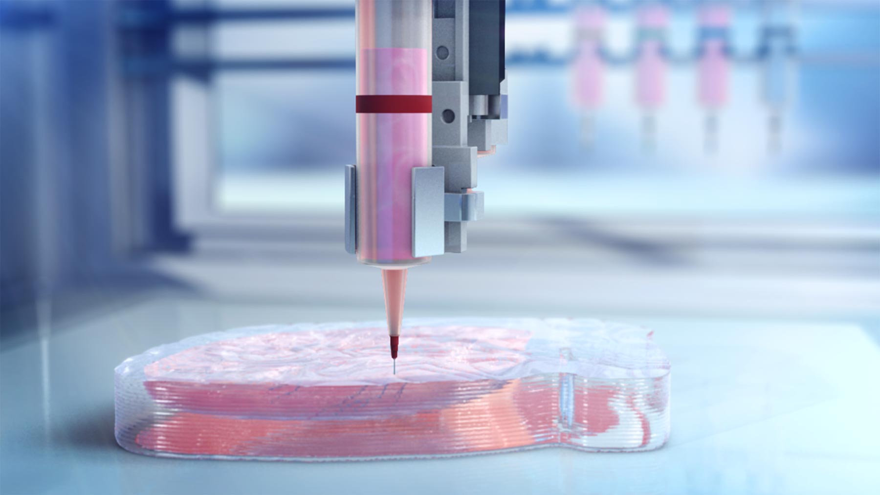 The 3D Bioprinting Market Is Segmented By Component, End User, Application And Region