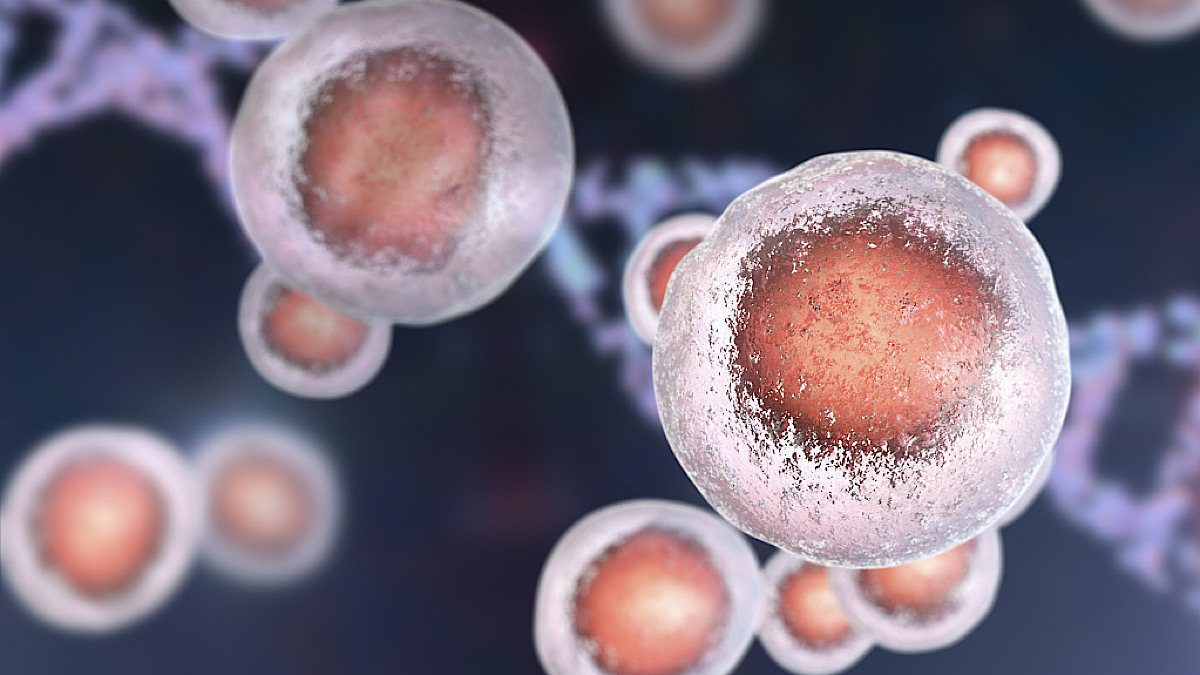 The Future of Medicine Lies in Human Embryonic Stem Cells