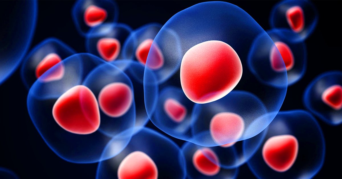 Understanding Cell Expansion in Cancer: Implications for Therapy