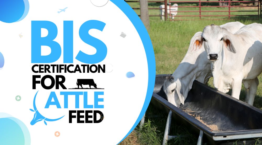 BIS Certification For Cattle Feed | ISI and FMCS Certification Process