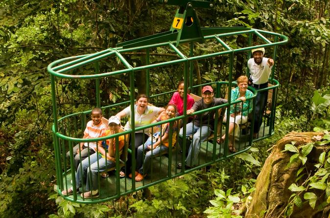 Enjoy the Adventures & Nightlife Tours in Saint Lucia
