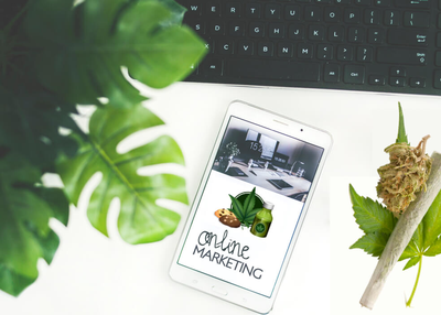 The Cannabis Industry: Digital Marketing Strategies For Businesses