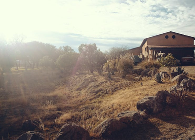 Modern Websites for Ranchers: Is It a Must?