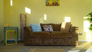 Which is the Best Paint for a Residential Interior?