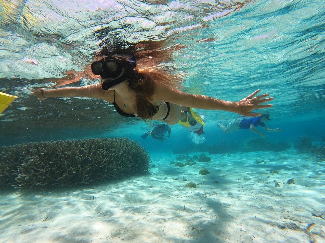 Havelock Island Tour Package: What’s in It for You?