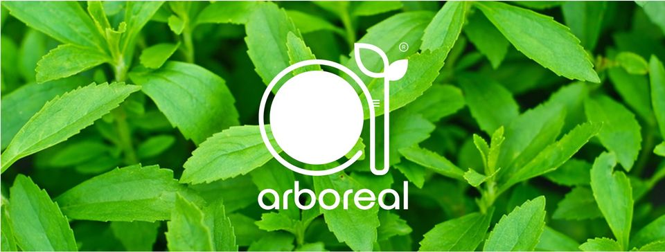 Pure Stevia Extract vs Raw Stevia and Its Usage in Product Recipes