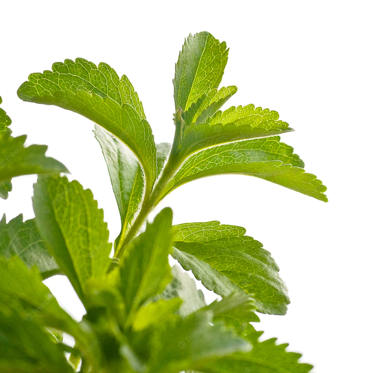 Stevia Market In 2022- Size and Trends