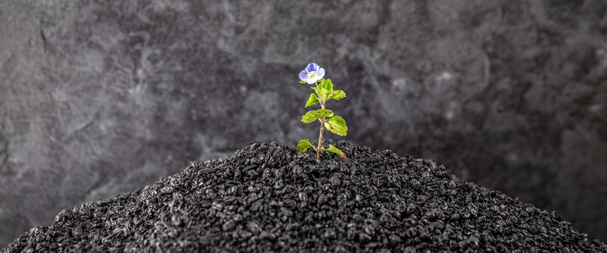 Tips for Creating an Effective Waste Management Plan