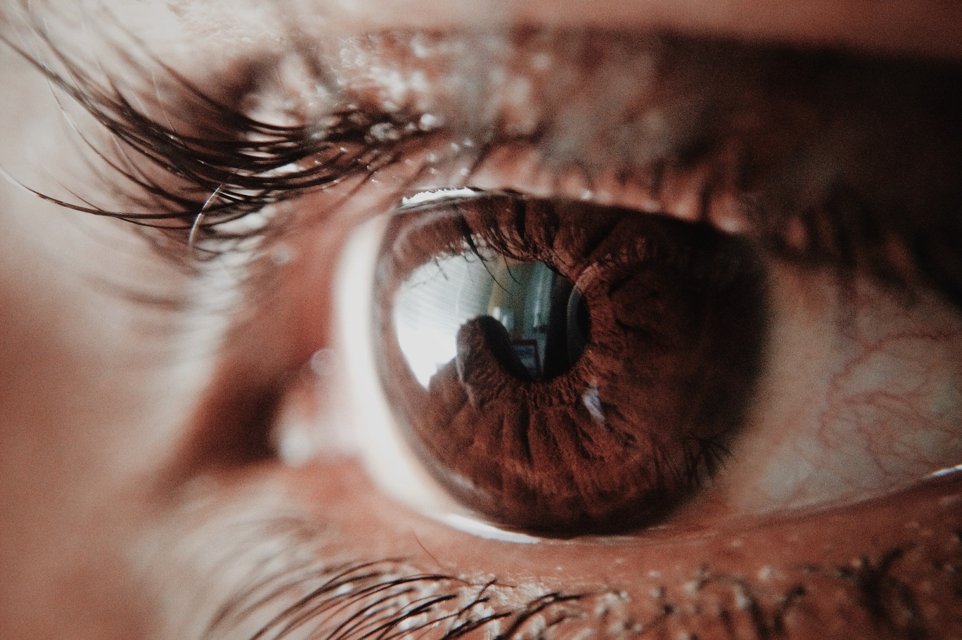 What Are Some Eye Care Tips For Elderly People?