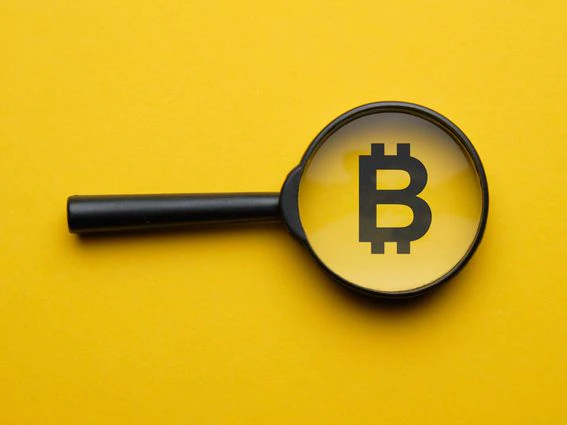 What Backs Bitcoin