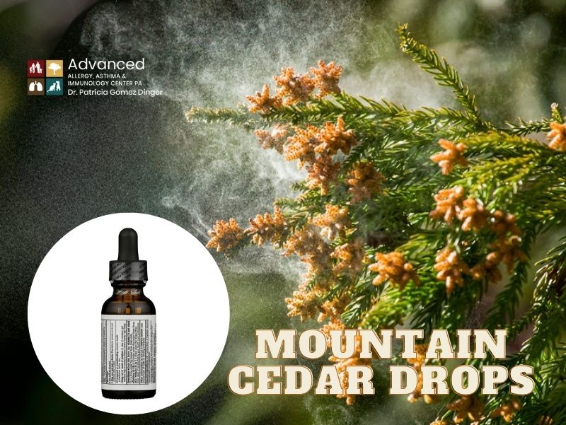 How Do We Do Mountain Cedar Drops At Advanced Allergy, Asthma, & Immunology Center?