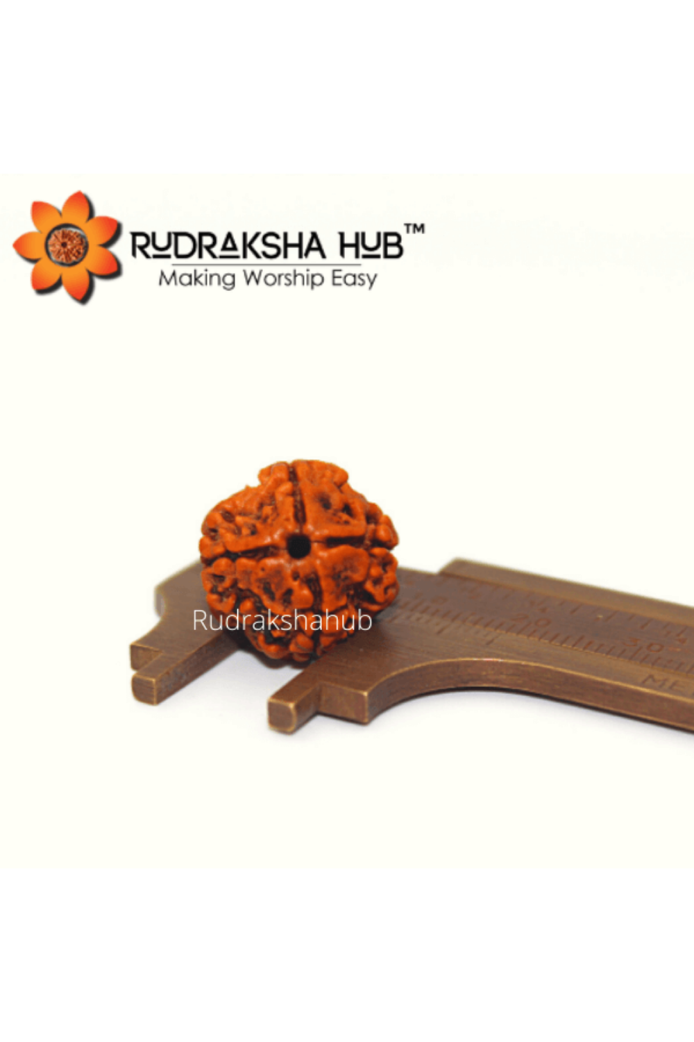 4 Mukhi Rudraksha (Nepali)